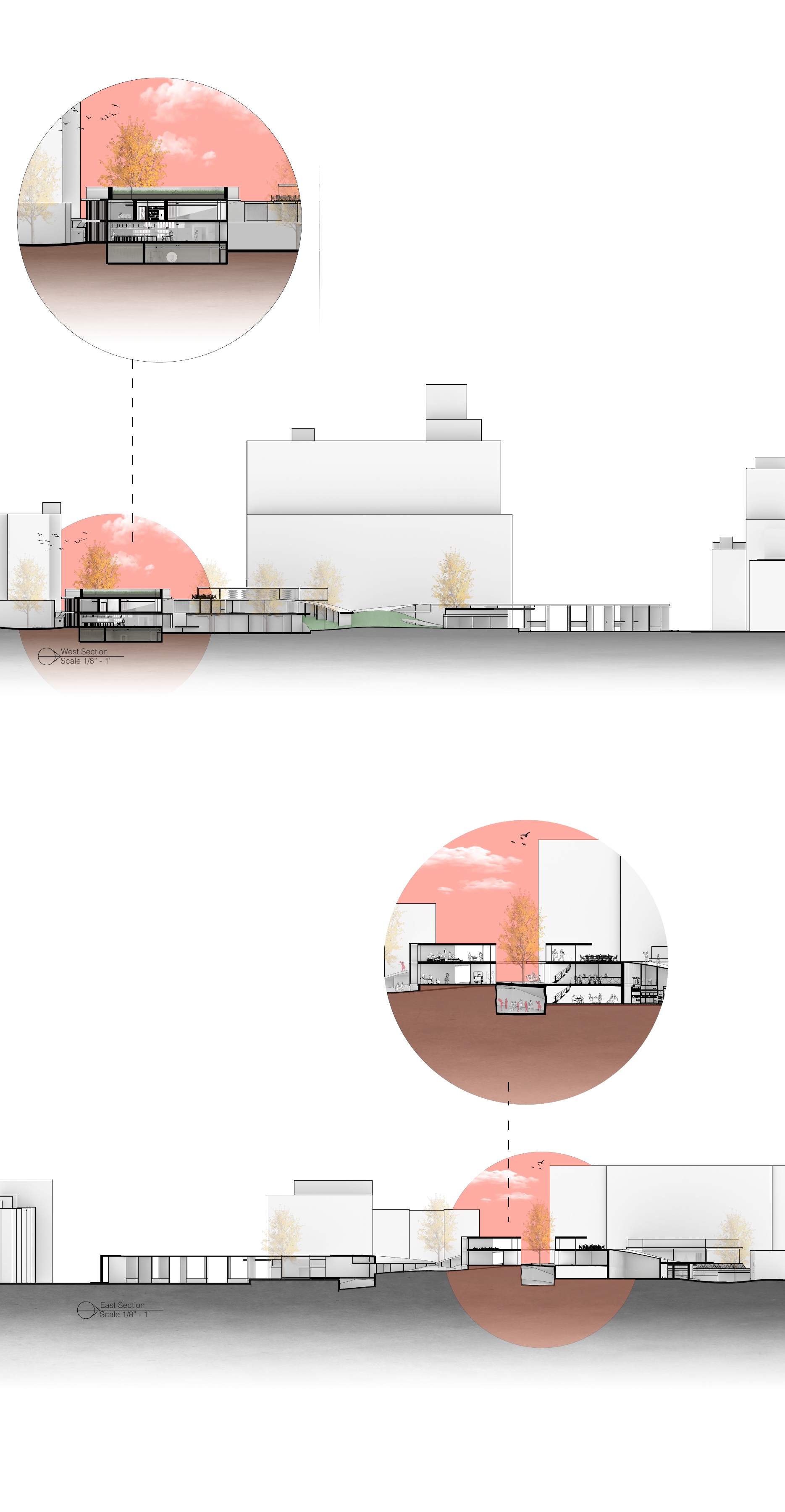 We Talk Louder — east and west architectural sections