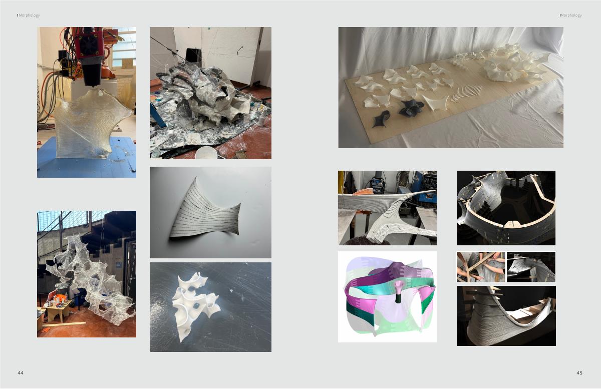 Morphology Studies — project study 2