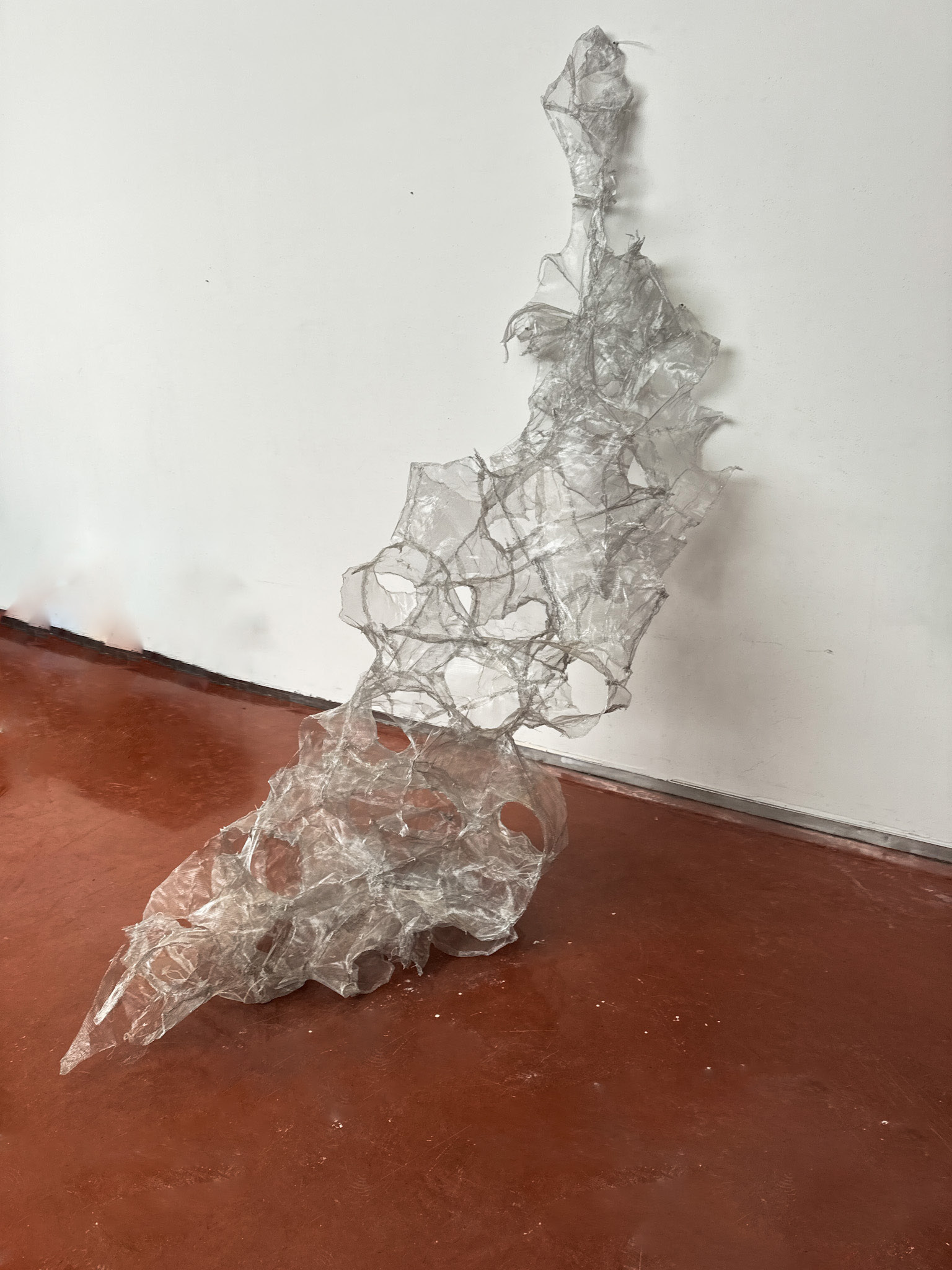 Morphology Studies — selected project view