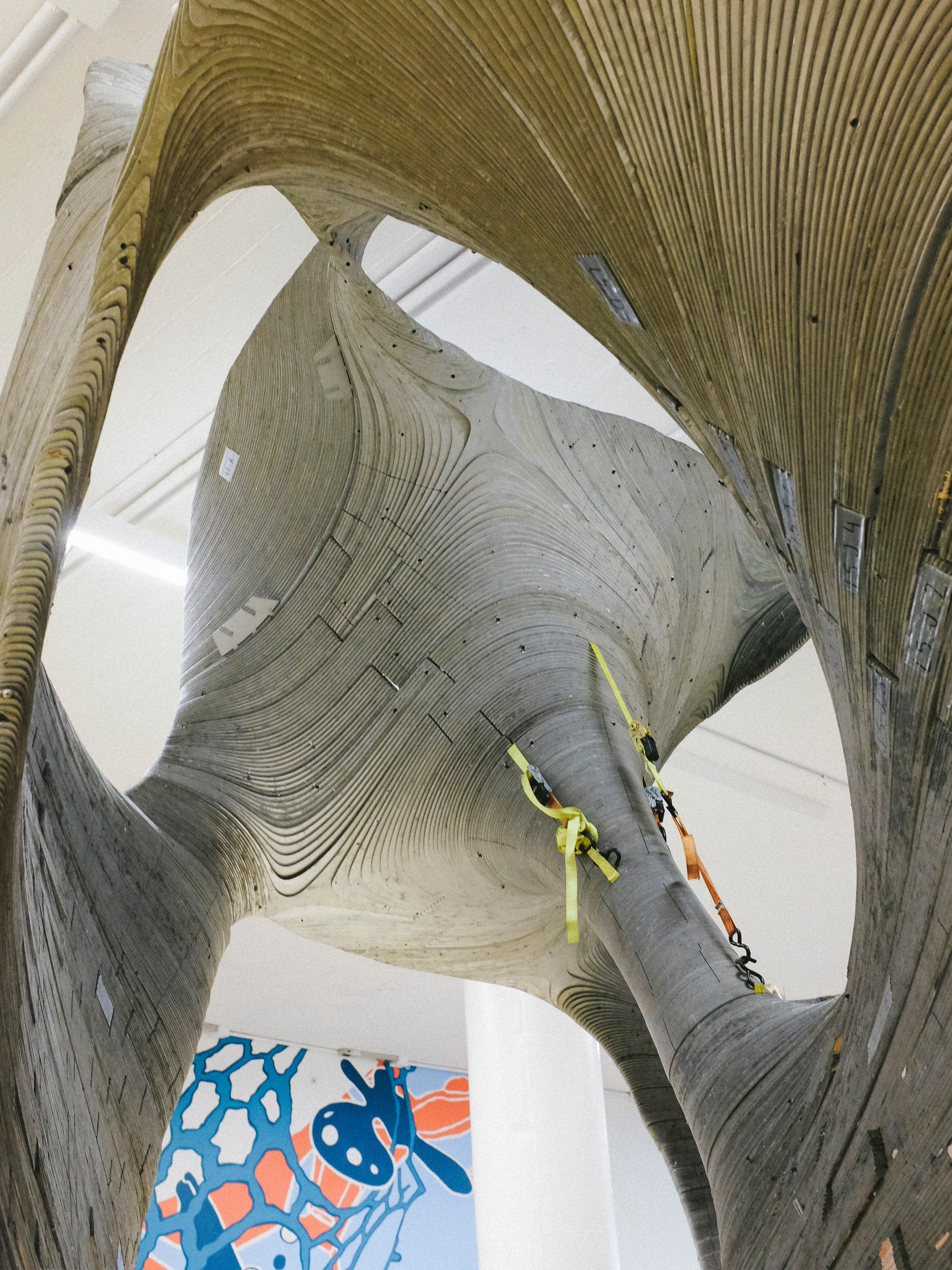 Full-scale curved surface — interior detail