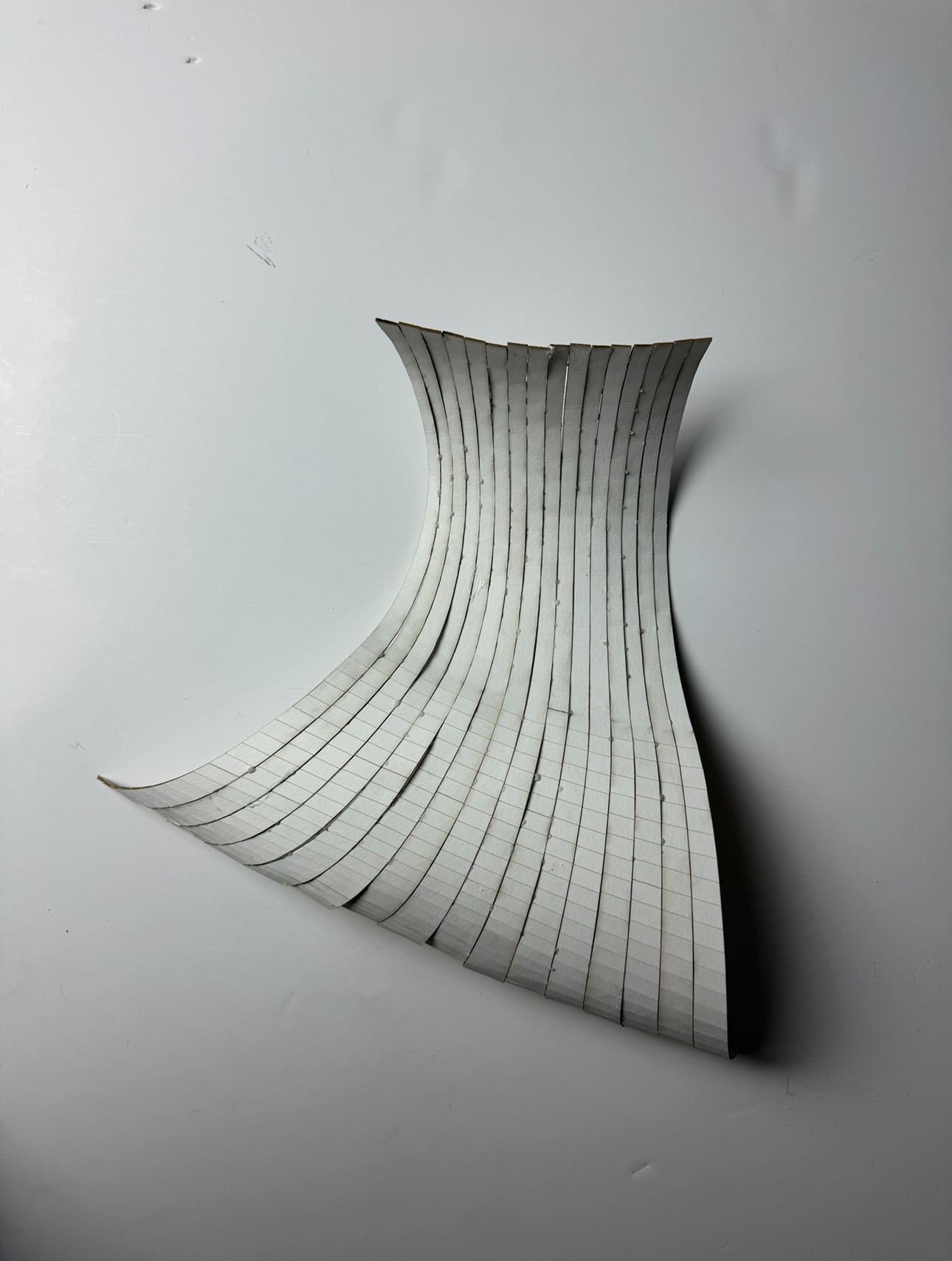 Strip morphology — physical model