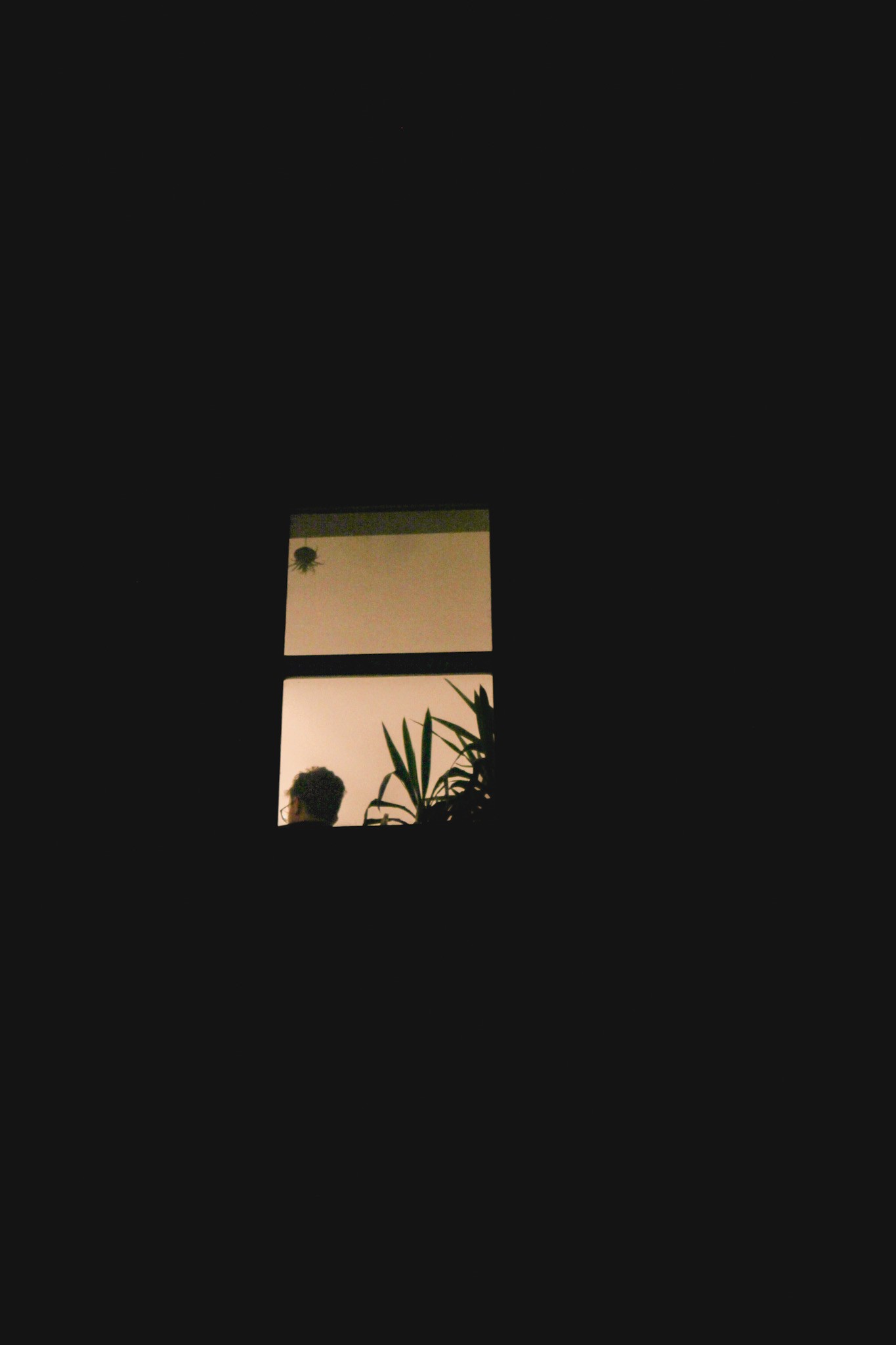 A window in the dark — photograph by Tony Powers
