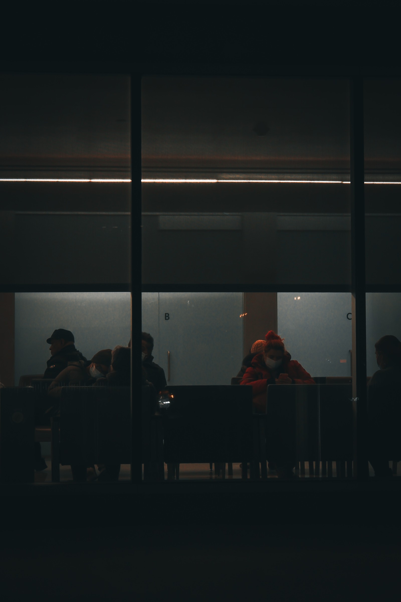 Life behind glass — photograph by Tony Powers