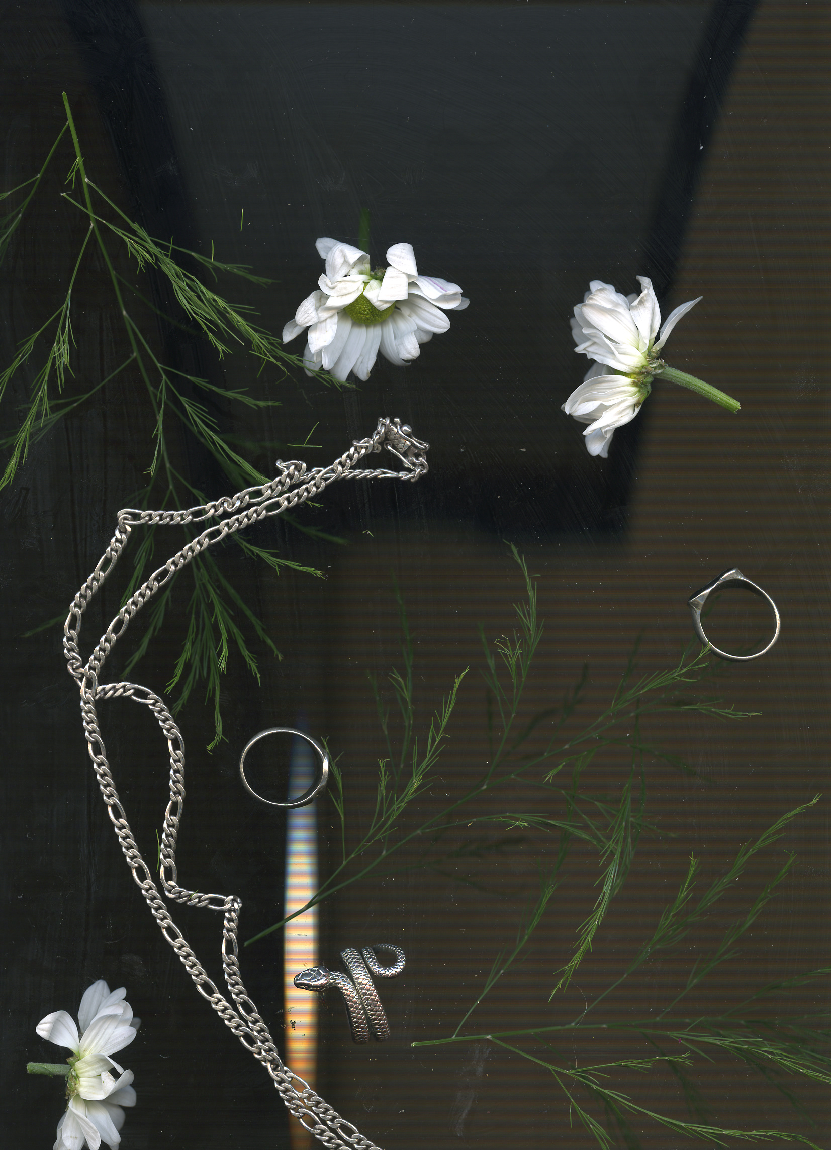 Botanical still life — flowers and chain — photograph by Tony Powers