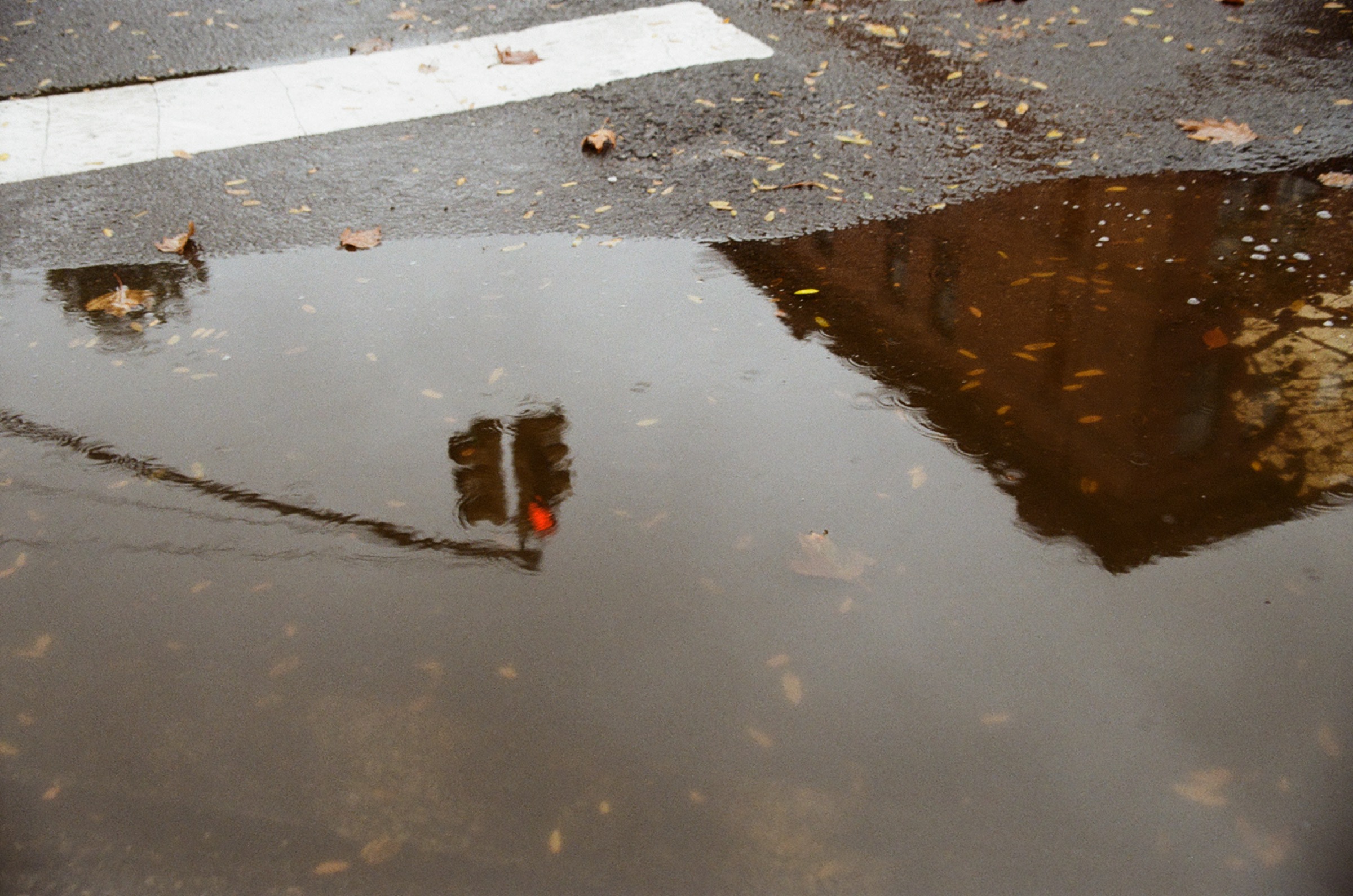 Traffic signal reflected after rain — photograph by Tony Powers