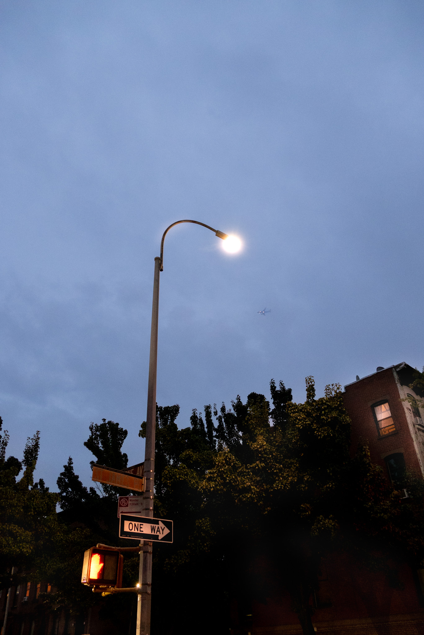 Streetlight at blue hour — photograph by Tony Powers