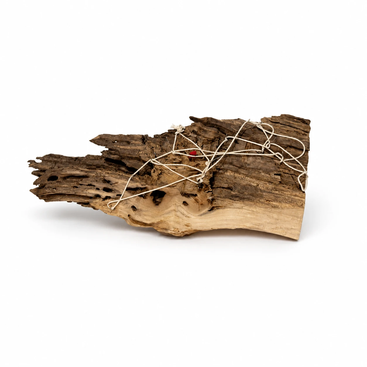 Material study 16